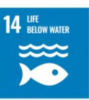 SDGs14.jpg