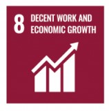 SDG-8-(1).jpg