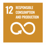 12-SDG.png