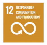 12-SDG.png