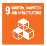 SDG-9.jpg